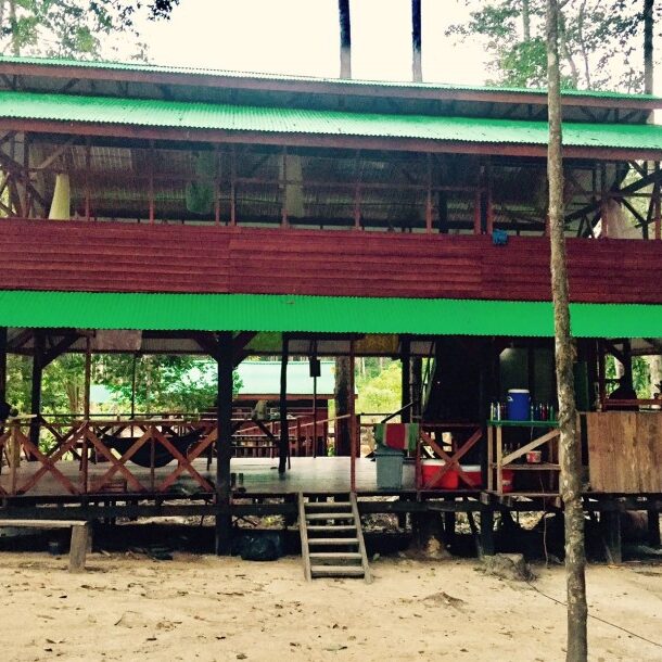 fredberg suriname holidays
