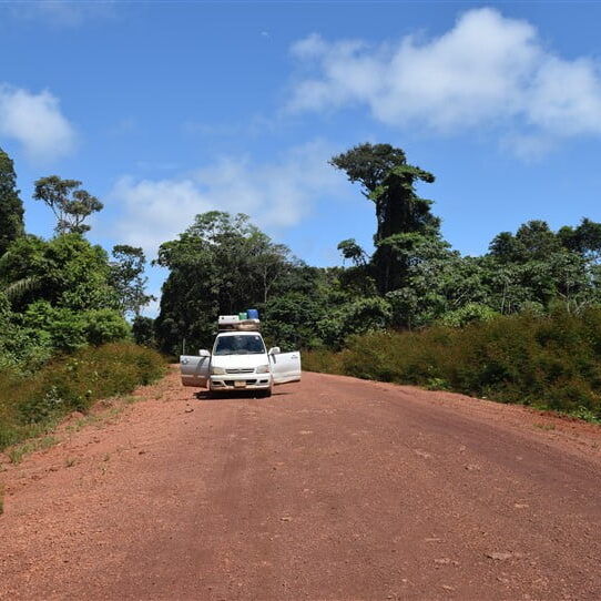 wildlife west suriname