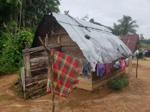 neues kastanienbraunes Dorf Aurora Suriname