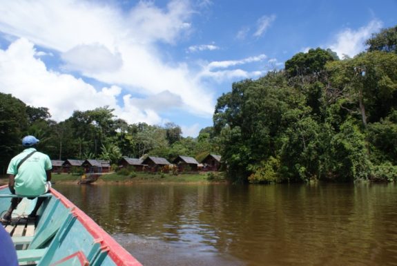 danpaati river lodge suriname