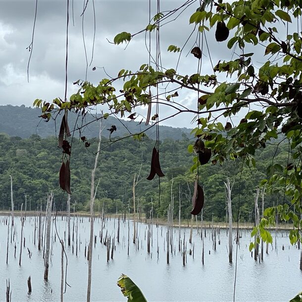 Ston Island Brokopondo Stuwmeer