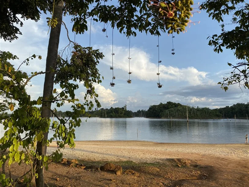 Réservoir Brokopondo de l'île Ston