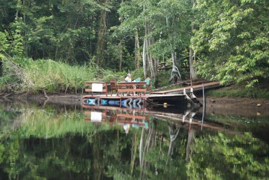 Suriname Holidays - fam Jonkers - Maratakka Suriname rondreis Maratakka flora fauna