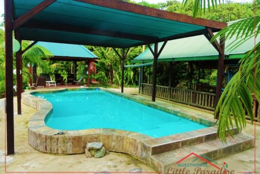 Guesthouse pool and lounge garden Guesthouse pool and lounge garden