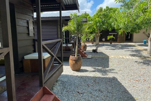 Suriname Holidays Peperhol