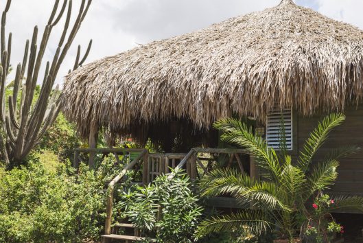 mondi lodge palapa