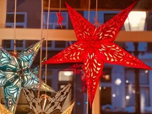 surinameholidays.nl_gallerydekus starlightz poinsettias starlightz gallery the kiss @ surinameholidays