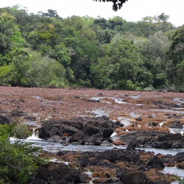 blanche marie droge tijd