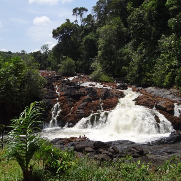 blanche marie vallen suriname
