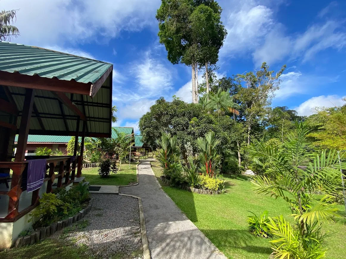 www.surinameholidays.nl_anaula Nature Resort Suriname Cabana Anaula Nature Resort Surinam