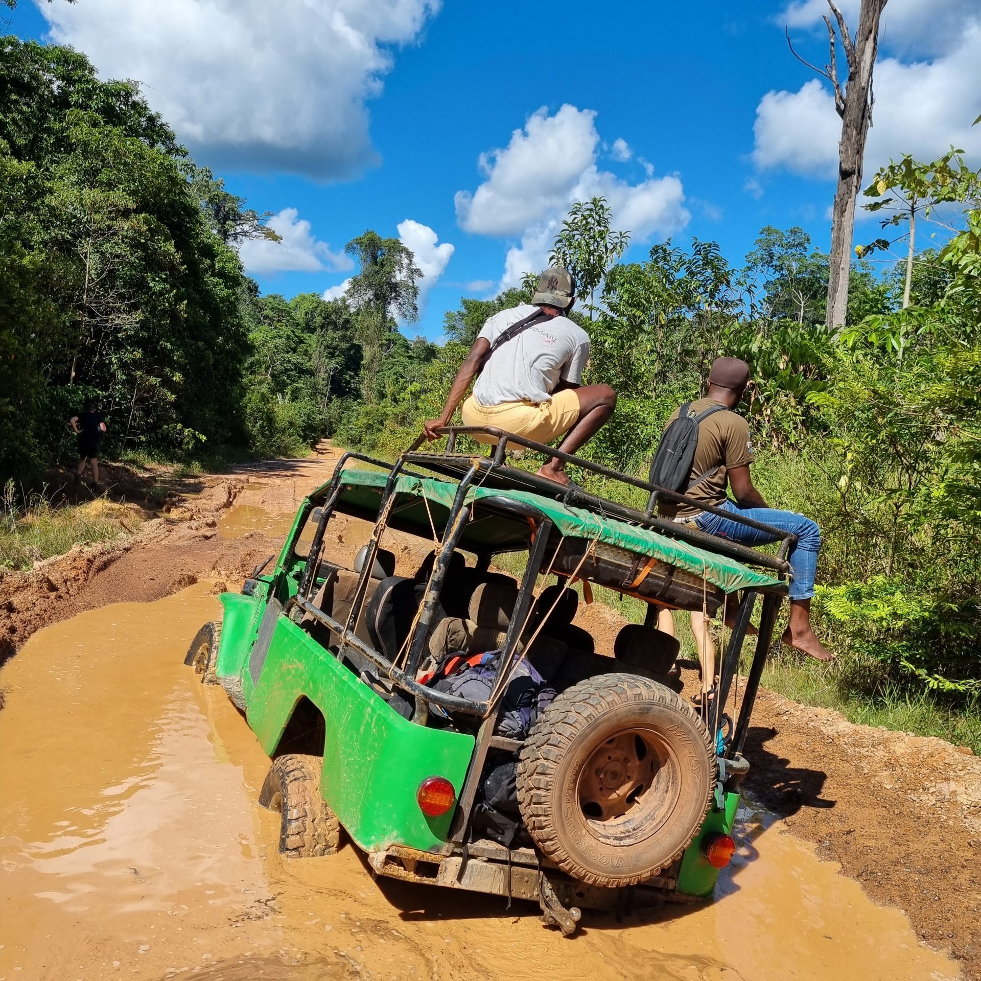 Fredberg Suriname