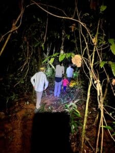 jungle nachtwandeling Peperpot