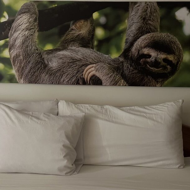 Eco Torarica slaap lekker