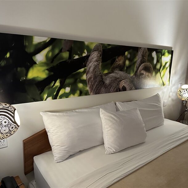 Eco Torarica kingsize