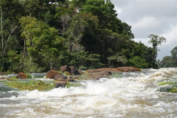 www.surinameholidays.nl_rini korstanje – sintia dam gran rio (10) gran dam