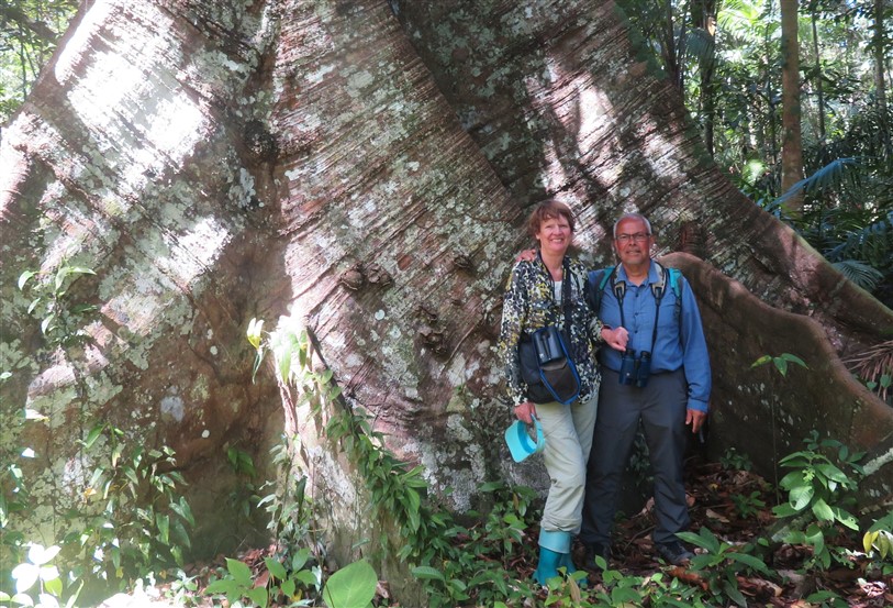 www.surinameholidays.nl_jan en toot maratakka tour