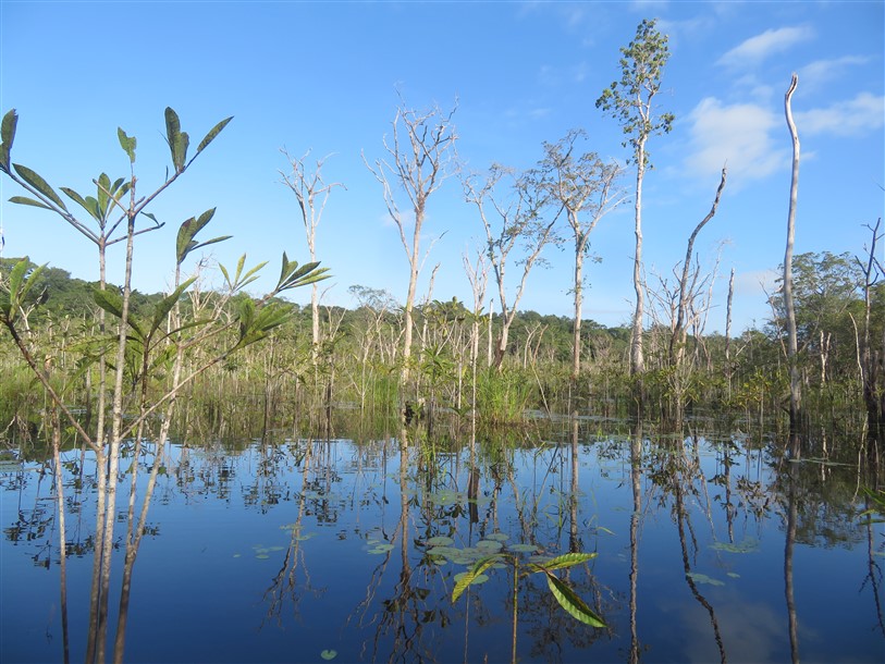 www.surinameholidays.nl_jan en toot zwamp bigi poika