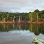 Recensie Suriname Reis Brokopondo Stuwmeer