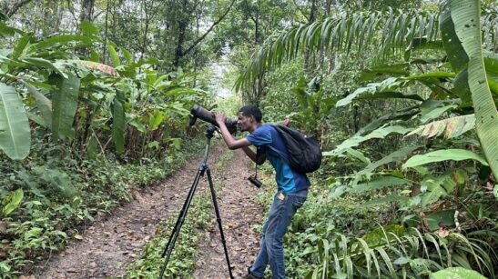 birding groepreis Suriname