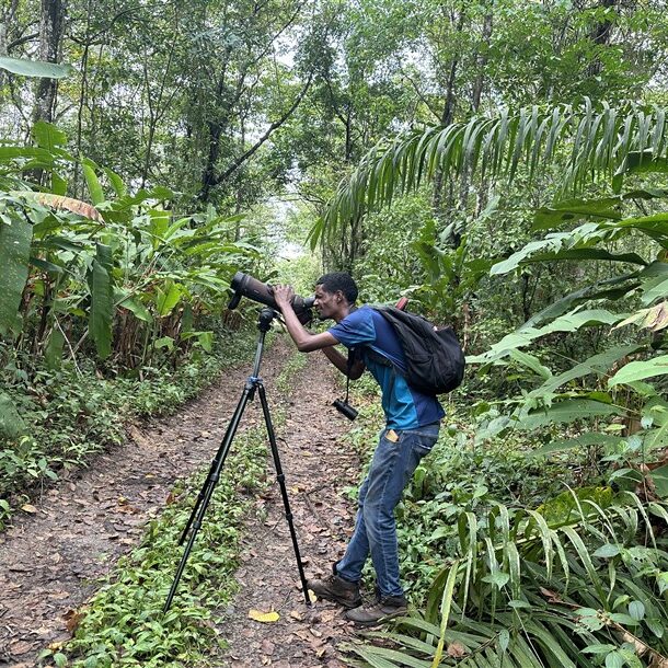 birding groepreis Suriname