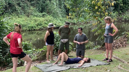 www.surinameholidays.nl_jungle medicine 2025