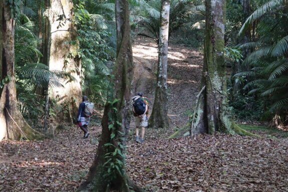 bovensurinam hike tour