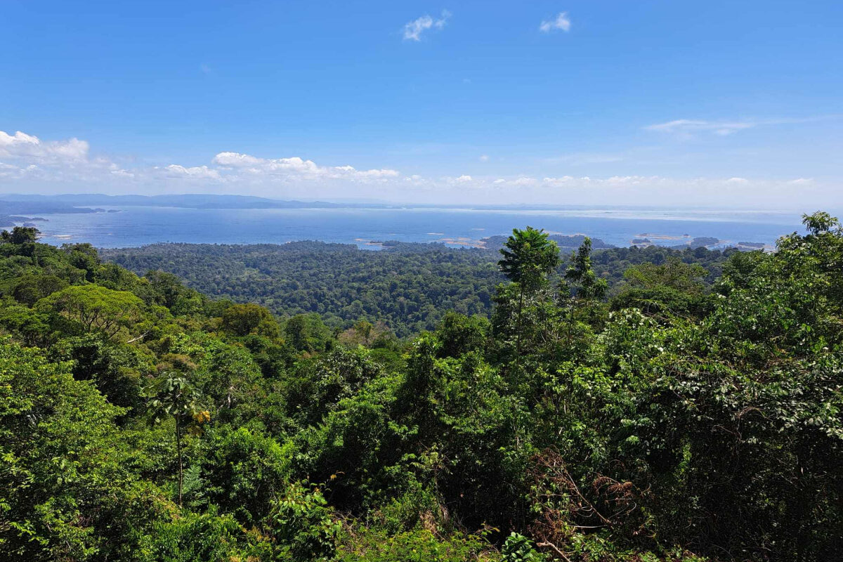 Elso Carly Onvergetelijke Reis Suriname