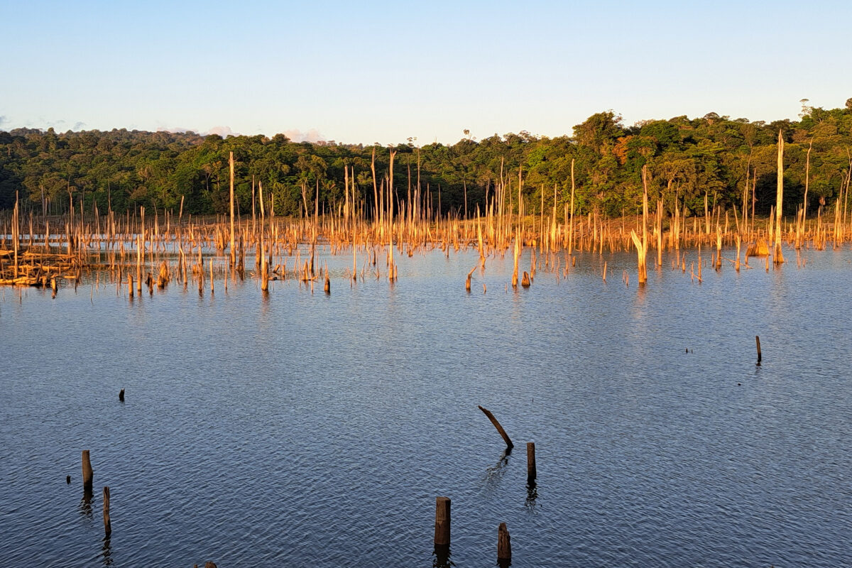 Elso Carly Onvergetelijke Reis Suriname