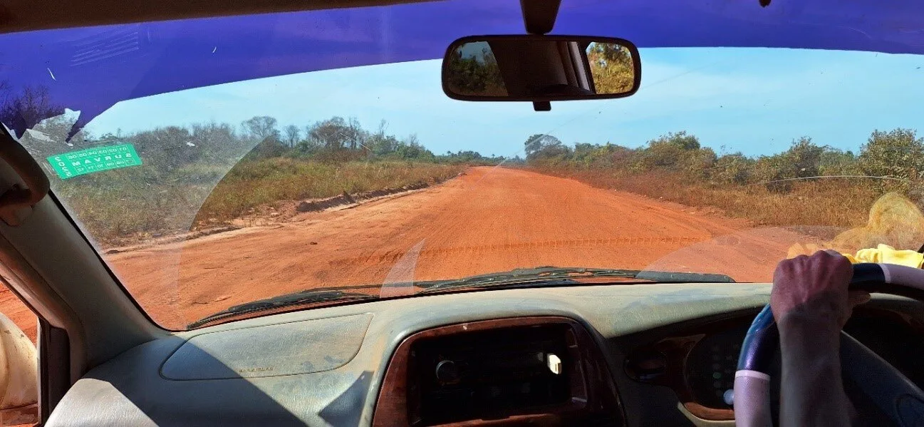 on the road wild life trip with dion