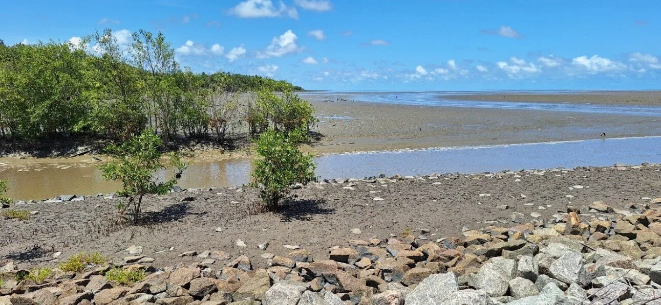 dory seawall coronie