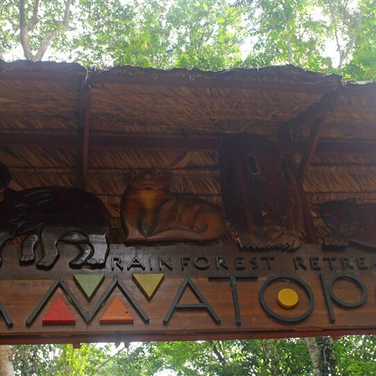 amatopo rainforest retreat