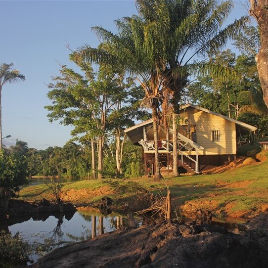 amatopo rainforest retreat
