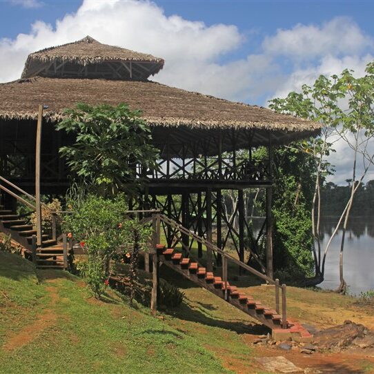 panorama restaurant amatopo rainforest retreat
