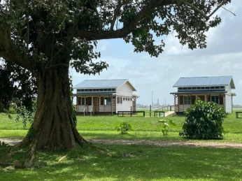 www.surinameholidays.nl_koffiemamatree suriname