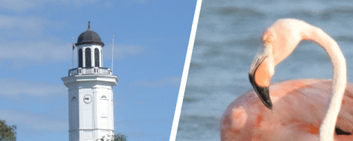 Best_of_the_West_Combi-660x270