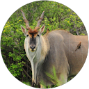 Hans Vermeij profielfoto