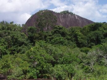 www.surinameholidays.nl_voltzberg