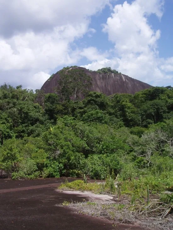 www.surinameholidays.nl_voltzberg