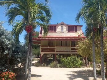 www.surinameholidays.nl_coronie houten woning